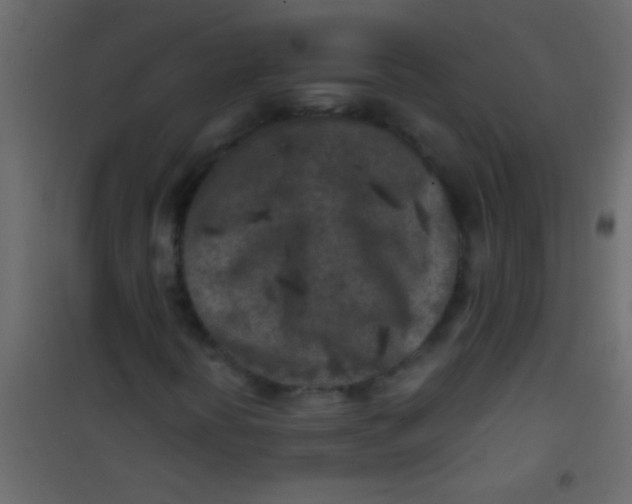 X0000101111394200807171925