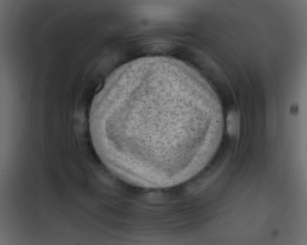 X0000101111395200807171925