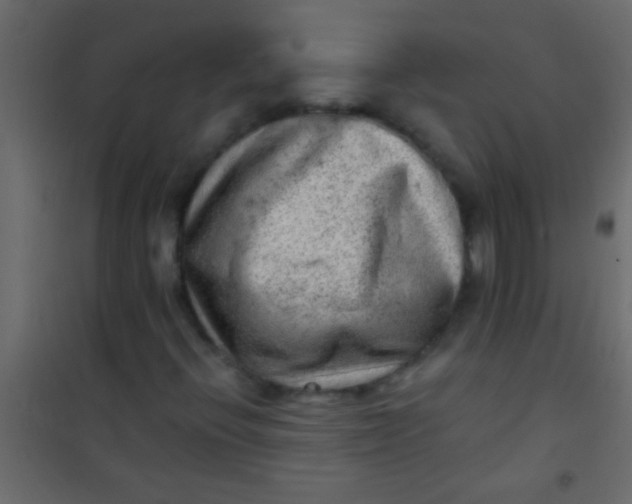 X0000101111396200807171925