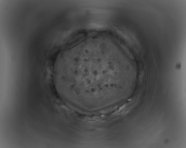 X0000101111397200807171926