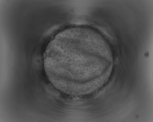 X0000101111398200807171926