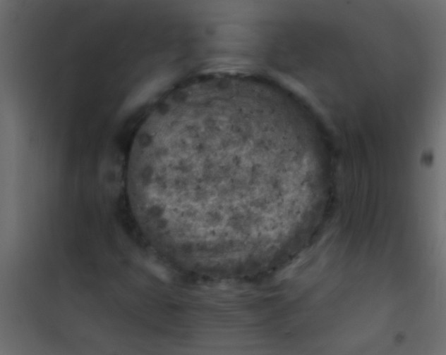 X0000101111399200807171926