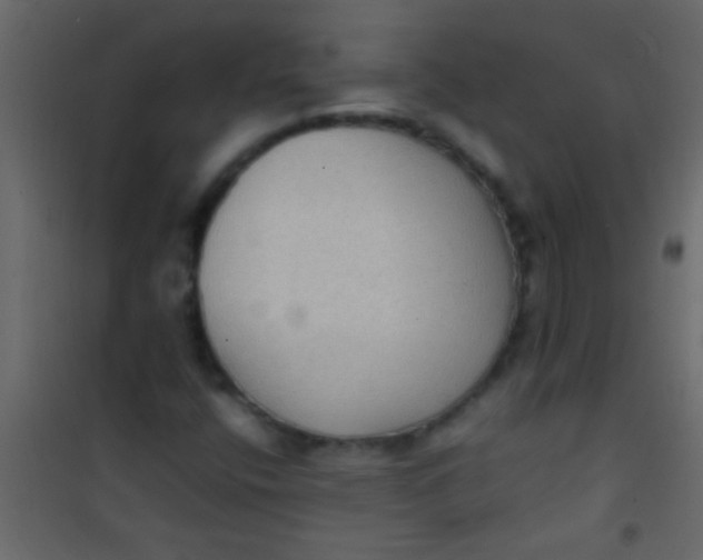 X0000101111400200807171926