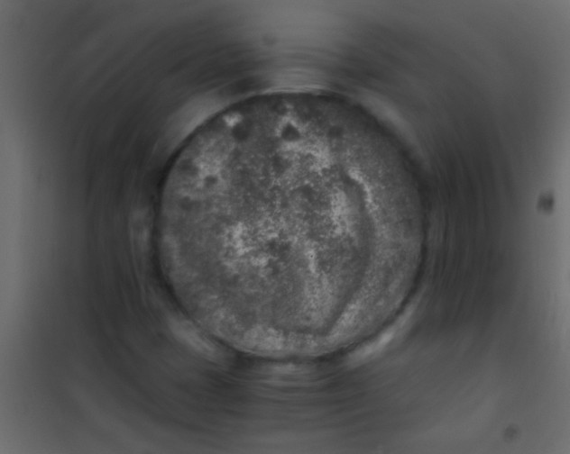 X0000101111401200807171926
