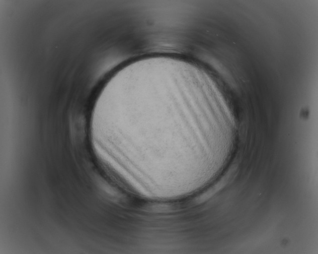 X0000101111402200807171926