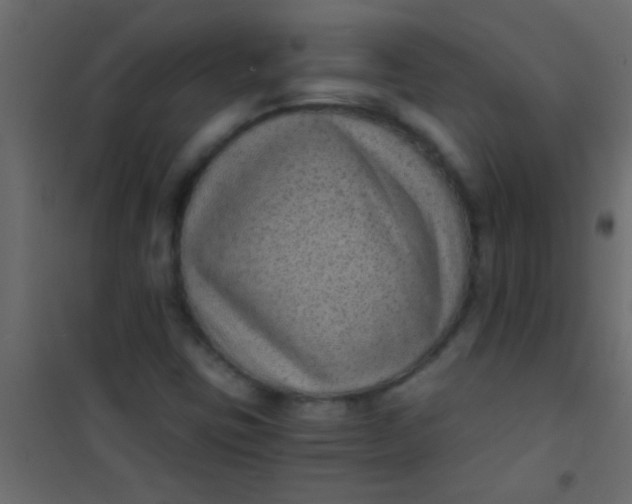 X0000101111403200807171926