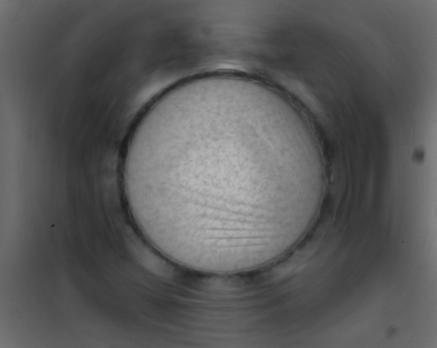X0000101111404200807171926