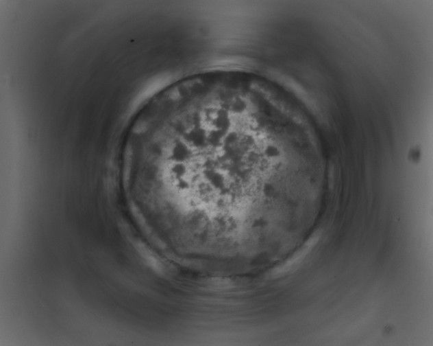 X0000101111405200807171926