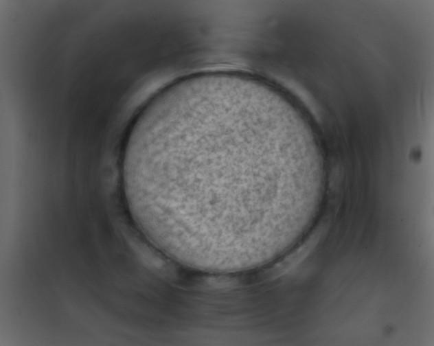 X0000101111407200807171926