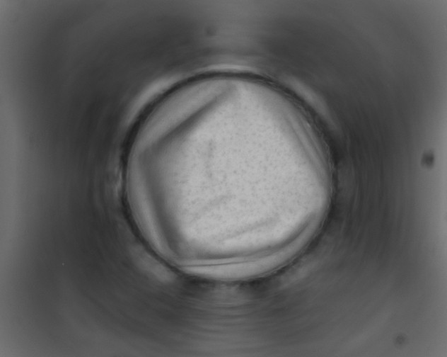 X0000101111408200807171926