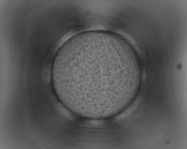 X0000101111409200807171926