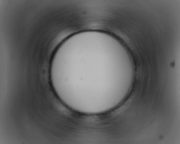 X0000101111410200807171926