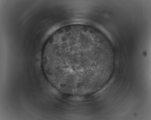 X0000101111411200807171926