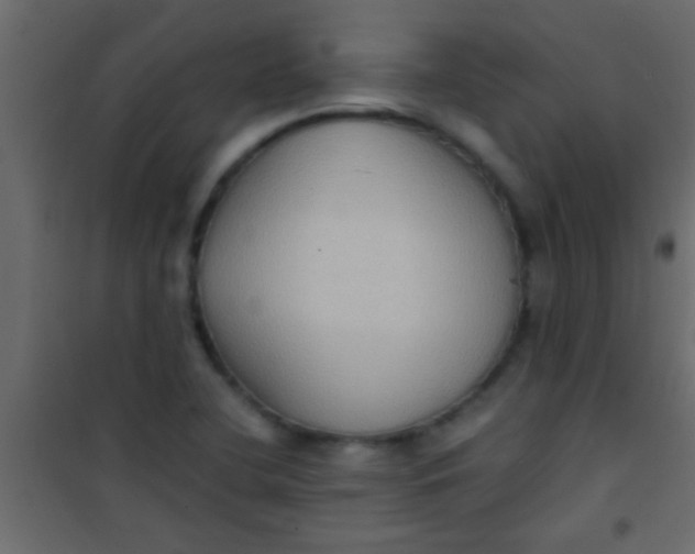 X0000101111412200807171926