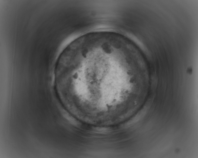 X0000101111413200807171926