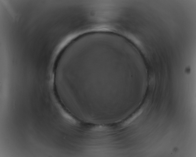 X0000101111414200807171926