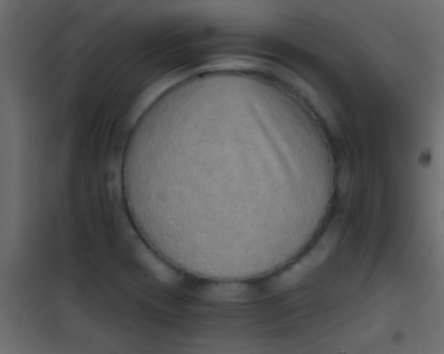 X0000101111417200807171926