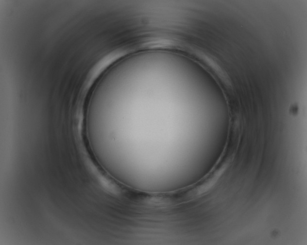 X0000101111418200807171926