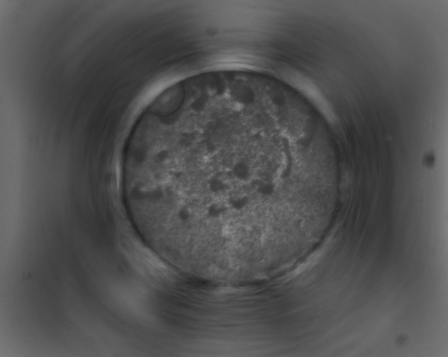 X0000101111419200807171926