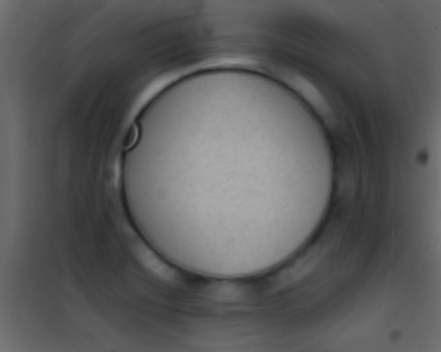 X0000101111420200807171926