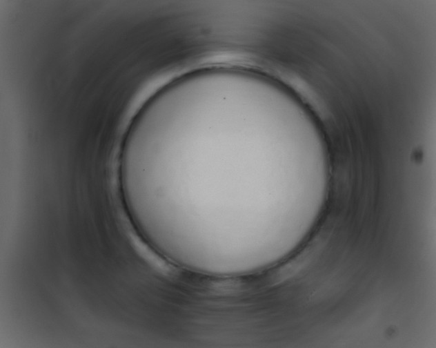 X0000101111421200807171926