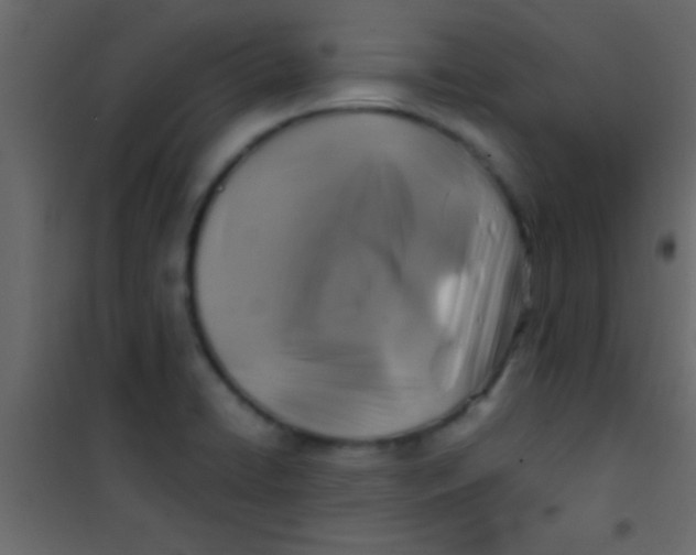 X0000101111422200807171926