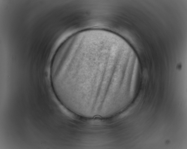 X0000101111424200807171926