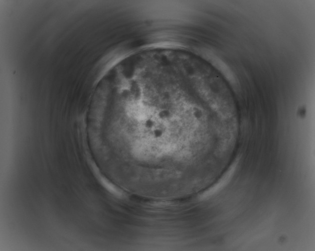 X0000101111425200807171926
