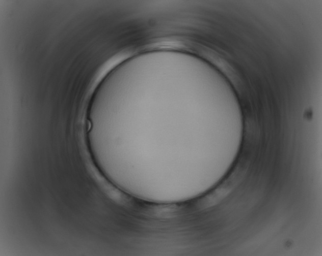 X0000101111426200807171926