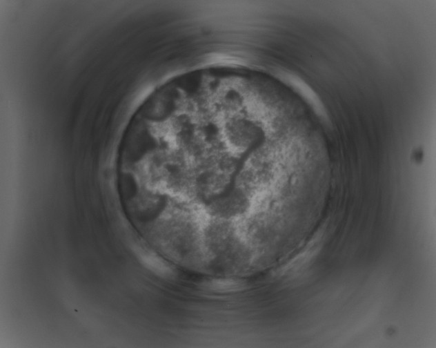 X0000101111427200807171926