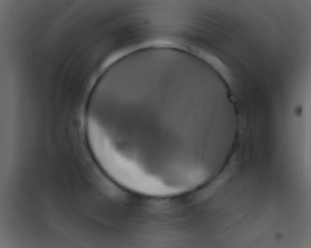 X0000101111428200807171926