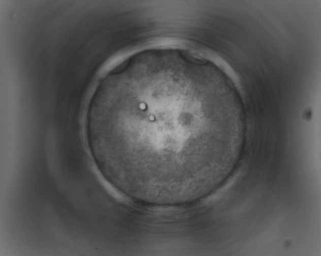X0000101111429200807171926