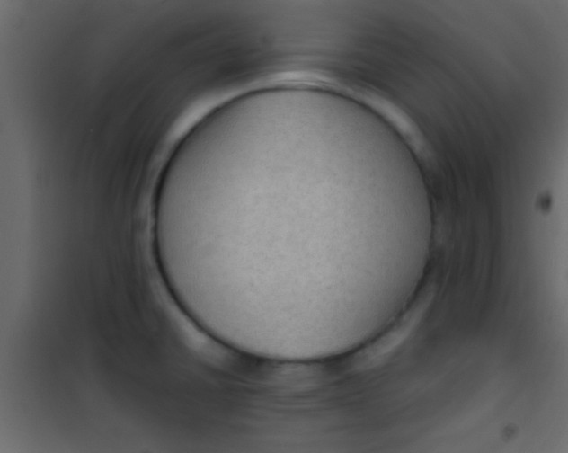 X0000101111430200807171926