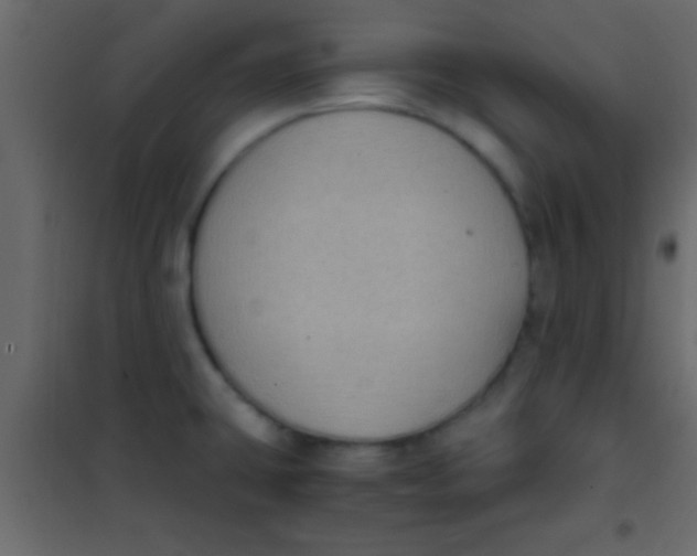 X0000101111431200807171926