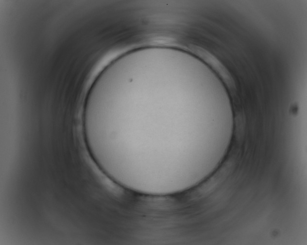 X0000101111432200807171926