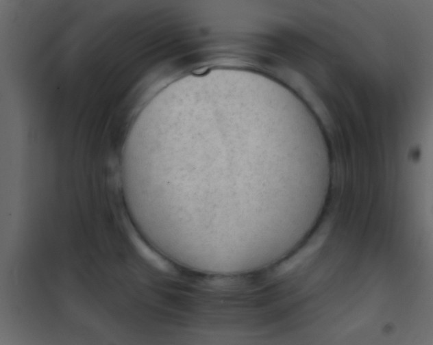 X0000101111433200807171926