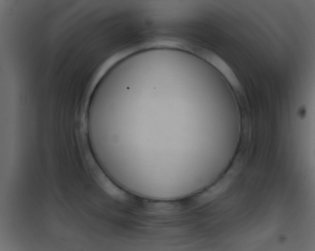 X0000101111436200807171926