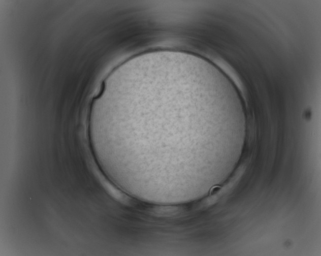 X0000101111437200807171926