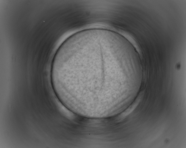 X0000101111438200807171926