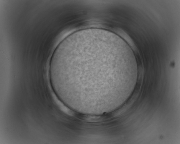 X0000101111439200807171926