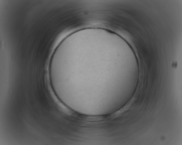 X0000101111440200807171926