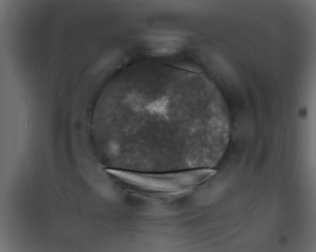 X0000101111441200807171925