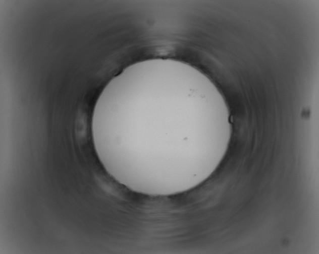 X0000101111442200807171925