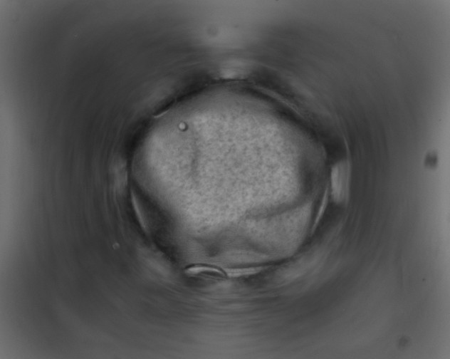 X0000101111443200807171925