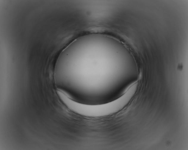 X0000101111444200807171925