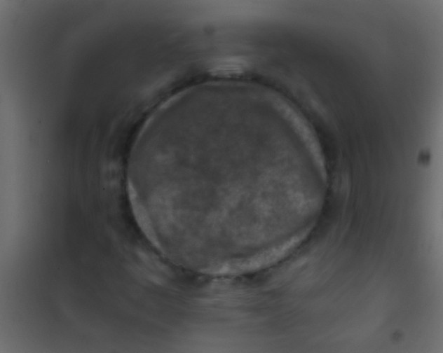 X0000101111445200807171925
