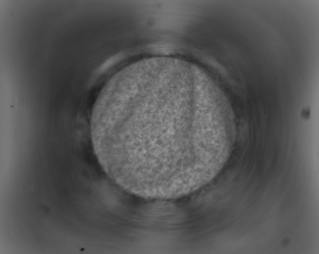 X0000101111446200807171925
