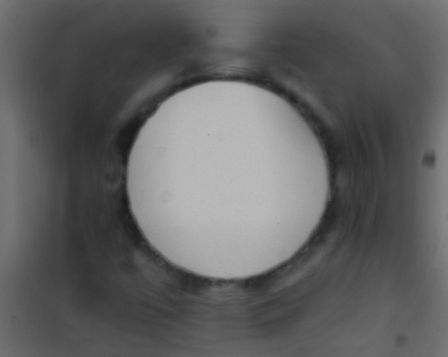 X0000101111447200807171925