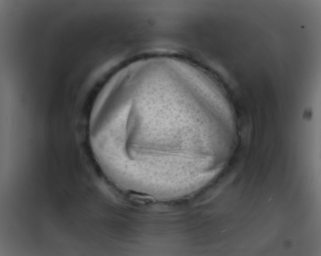 X0000101111448200807171925