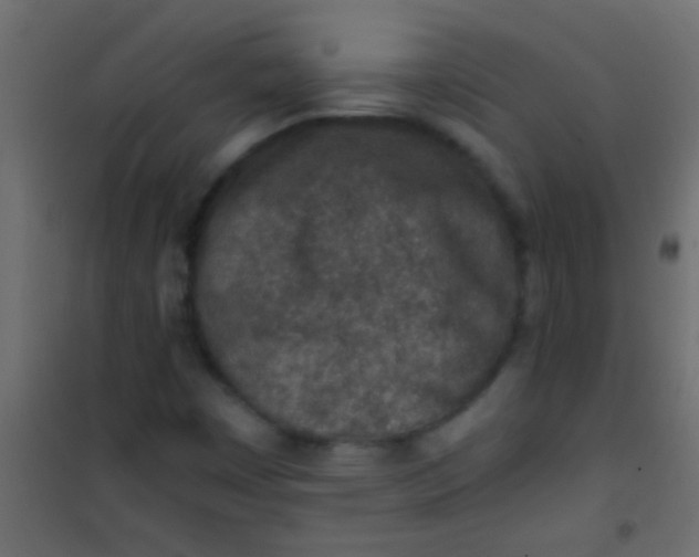 X0000101111449200807171925